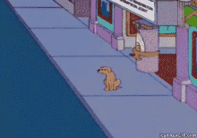 suspicious-dog.gif