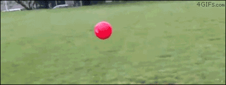 tumblr_m9rls6XkO91rfoaado1_500.gif