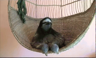 sjC8nNw.gif
