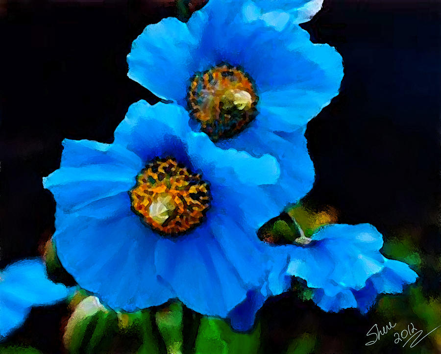 blue-poppies-shere-crossman.jpg