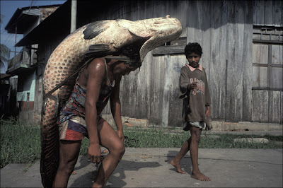 Giant+Catch.jpg