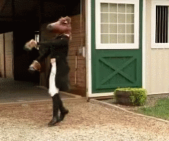 horse-head.gif