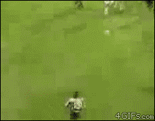 tumblr_m5y8d494uO1qdlh1io1_250.gif