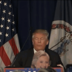 tumblr_obcssgFNDA1rxxvmdo1_250.gif