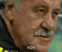 ricolino-scolari.gif
