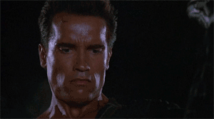 commandoilied.gif
