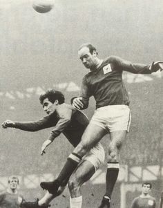 32e0197b8d0c0212ed6c765b5224728f--goodison-park-terry-oquinn.jpg