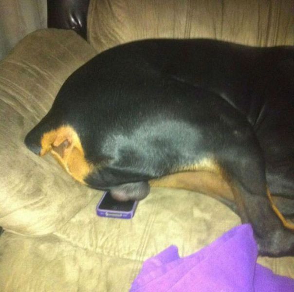 picdump-11-12-02-034.jpg
