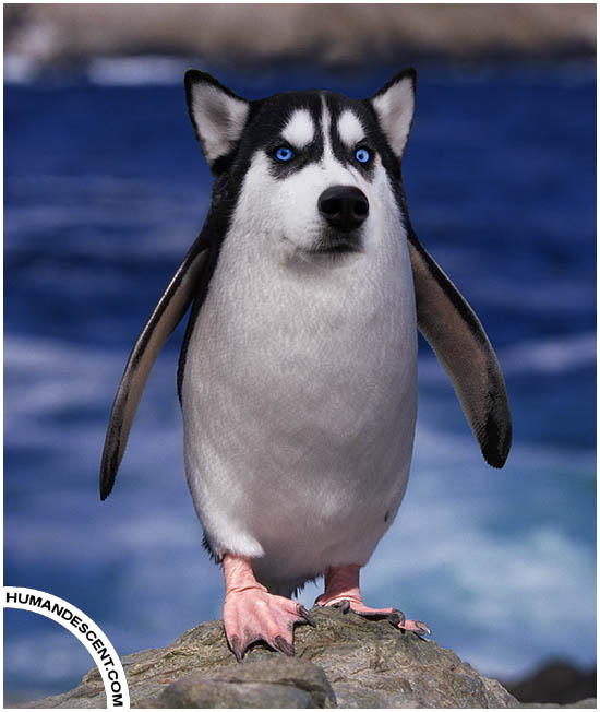 Pengog_by_HumanDescent.jpg