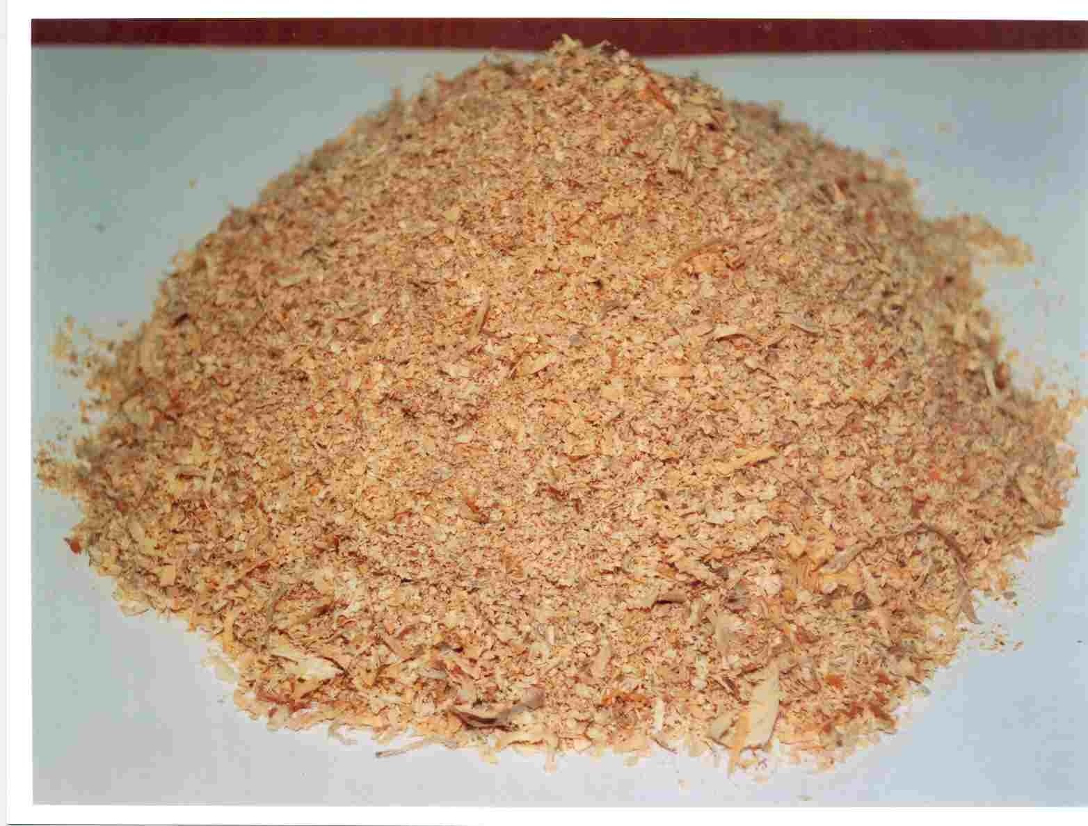Sawdust.jpg