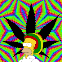 8354d3b24b51081c6e3fb19650d0ee9c_w200.gif