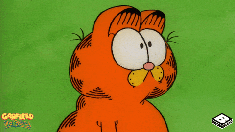giphy-downsized-large.gif