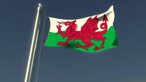 flag-flag-waver.gif
