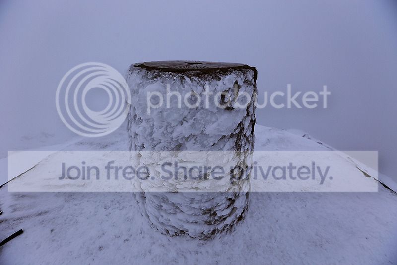 aIMG_6697.jpg