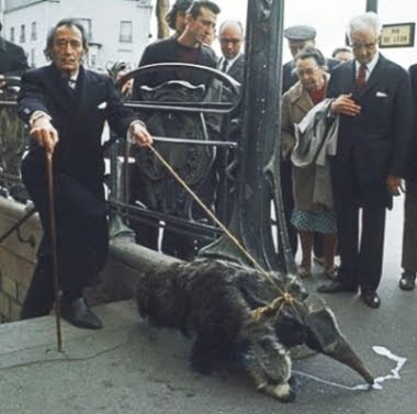 dali_anteater.jpg