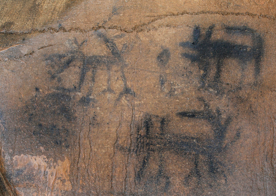 cumberland_plateau1.jpg