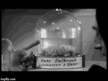 young-frankenstein-abby-normal.gif