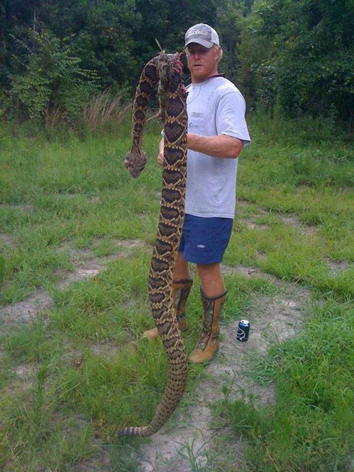 coleman+rattler.jpg