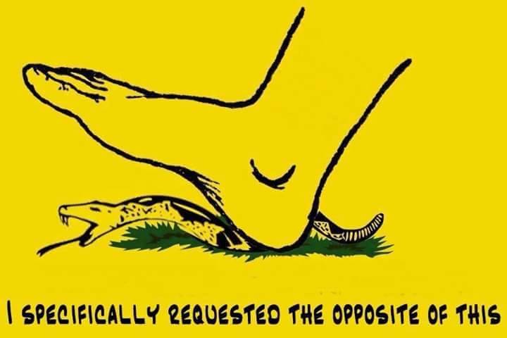 tumblr_ovtxgjPEEe1vrvfsoo1_1280.jpg