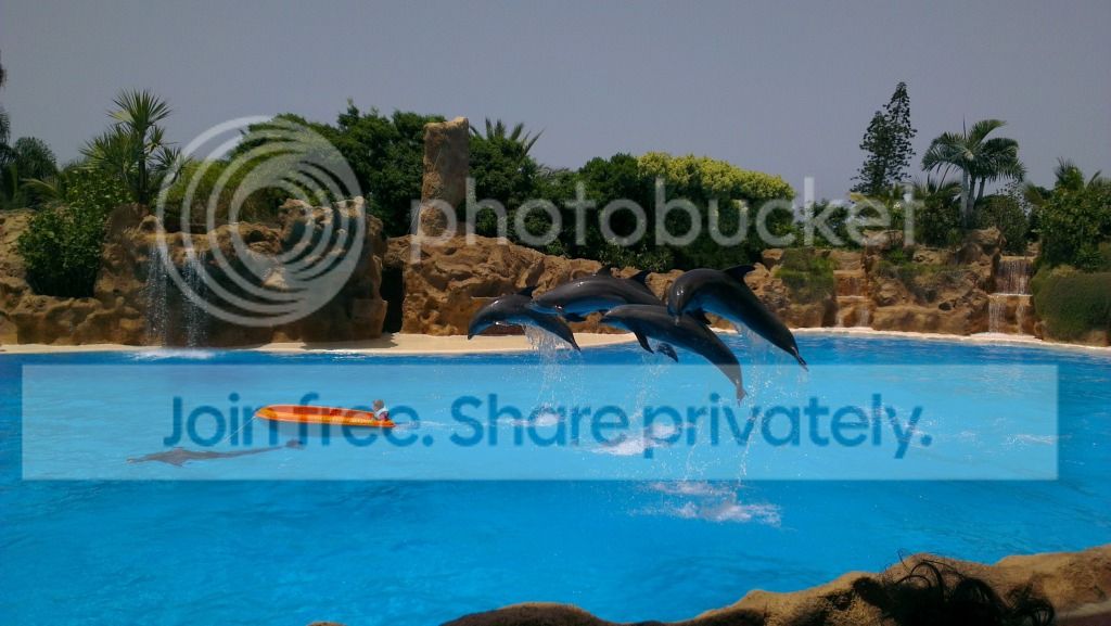 2012-08-10144440_2.jpg
