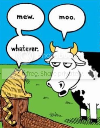 Mew-moo-whatever.jpg