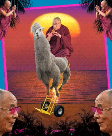 tumblr_nr8hxhJ09W1sfeix4o1_400.gif
