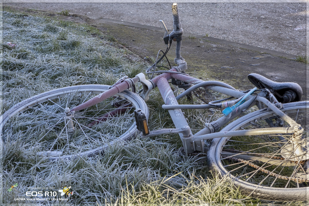 Full_Bike_a-XL.jpg