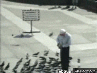 giphy.gif