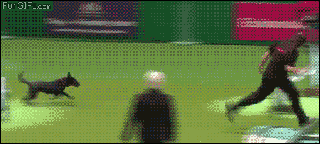 45.gif