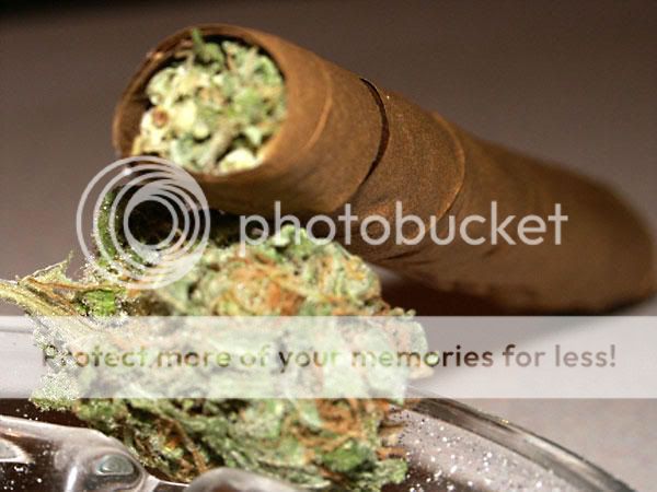 weed.jpg
