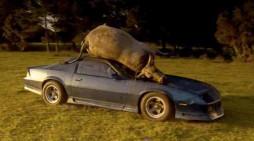 a0c38821782507db3fdd467f2d3e9ba7.gif