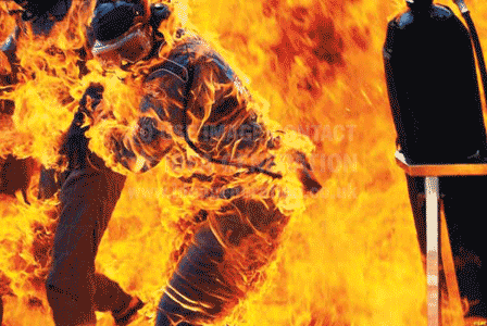 bottleblonde_verstappen-benetton_fire_94.gif
