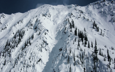 0e892a0d0737b66a7eaa538a43793a54.gif