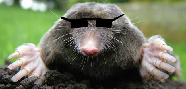 Mole.jpg