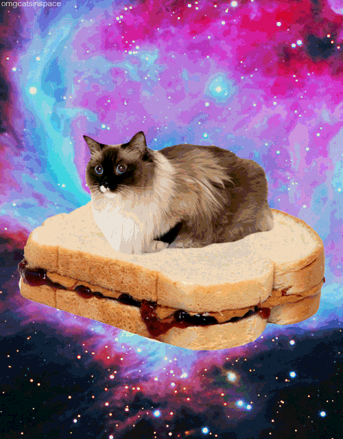 tumblr_mlf3kaN0aP1so5lmco1_500.gif