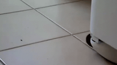 tumblr_mdtbjeWUtS1rq0hnm.gif