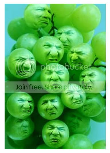 Sour-Grapes.jpg