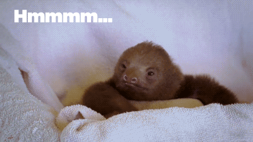 1e8e28419b57694b2fc2974e2d2229db.gif