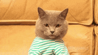 200w.gif