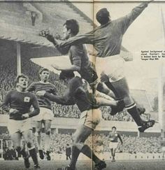 efb1a725164b9607c387703963a64d2a--goodison-park-forests.jpg