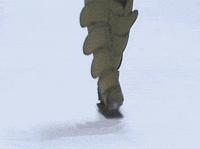 200w.gif
