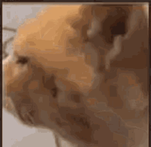 cummins.gif