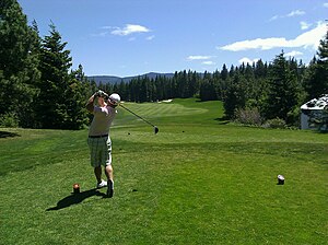 300px-Golfer_swing.jpg