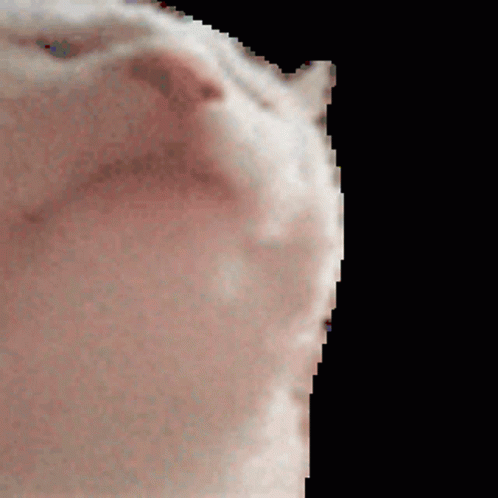 b63de0ca2cc887cb1e9e834552e76dec.gif