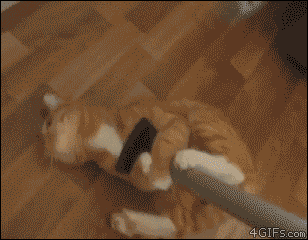 121.gif