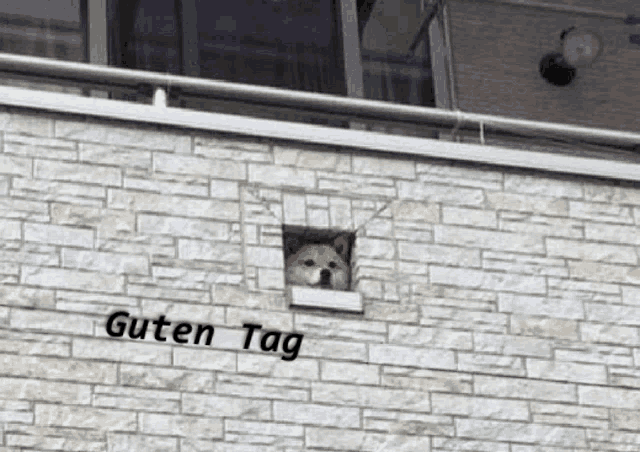 guten-tag-doge.png