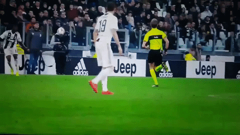giphy.gif