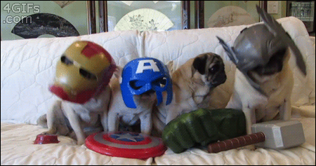 puppy-avengers.gif