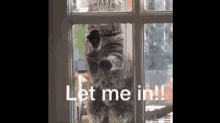 let-me-in-trapped.gif