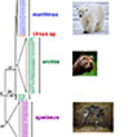 zookeys.pensoft.net